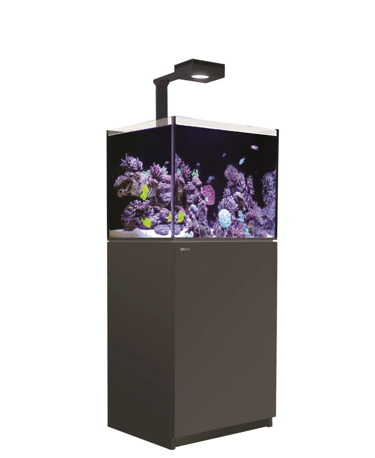 Red Sea Akvarium Reefer Deluxe Sort 170