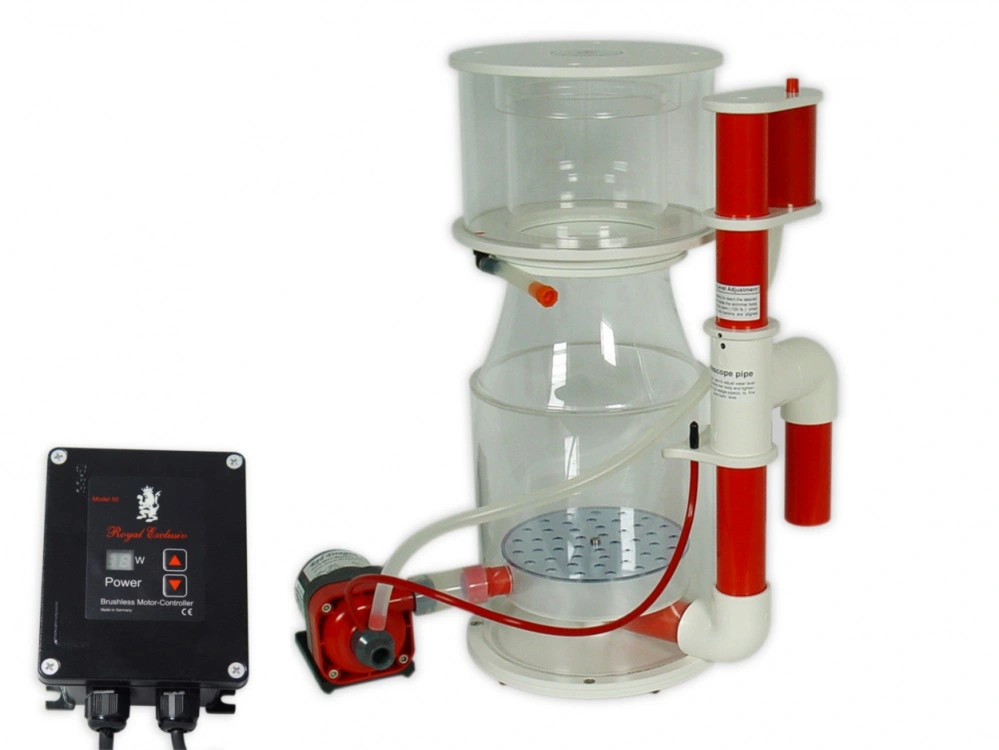 Bubble King DeLuxe 250 internal + RD3 Speedy Skummer