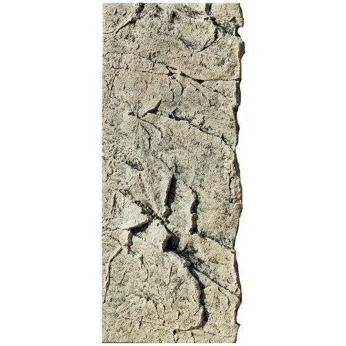 Back to Nature Slim-Line 60 C Kalk (20x55 cm)