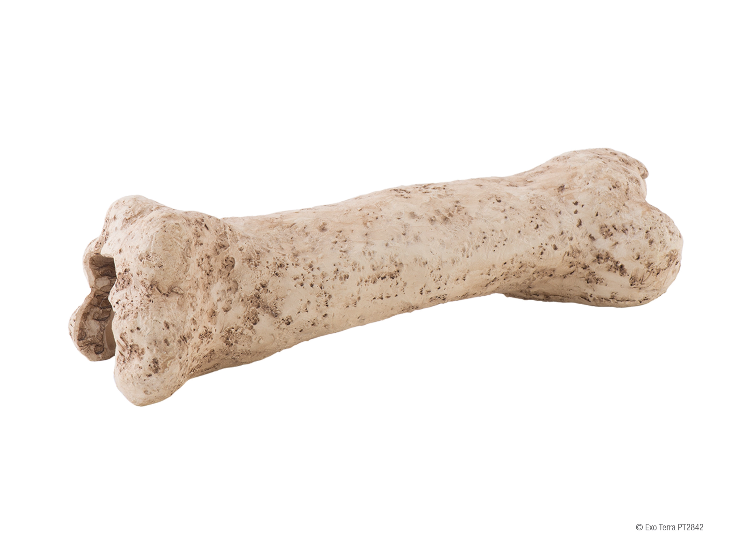Exo Terra Dinosaur knogle lille