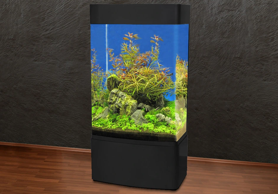 MiniZoo Søjle Akvarium 80 Sort