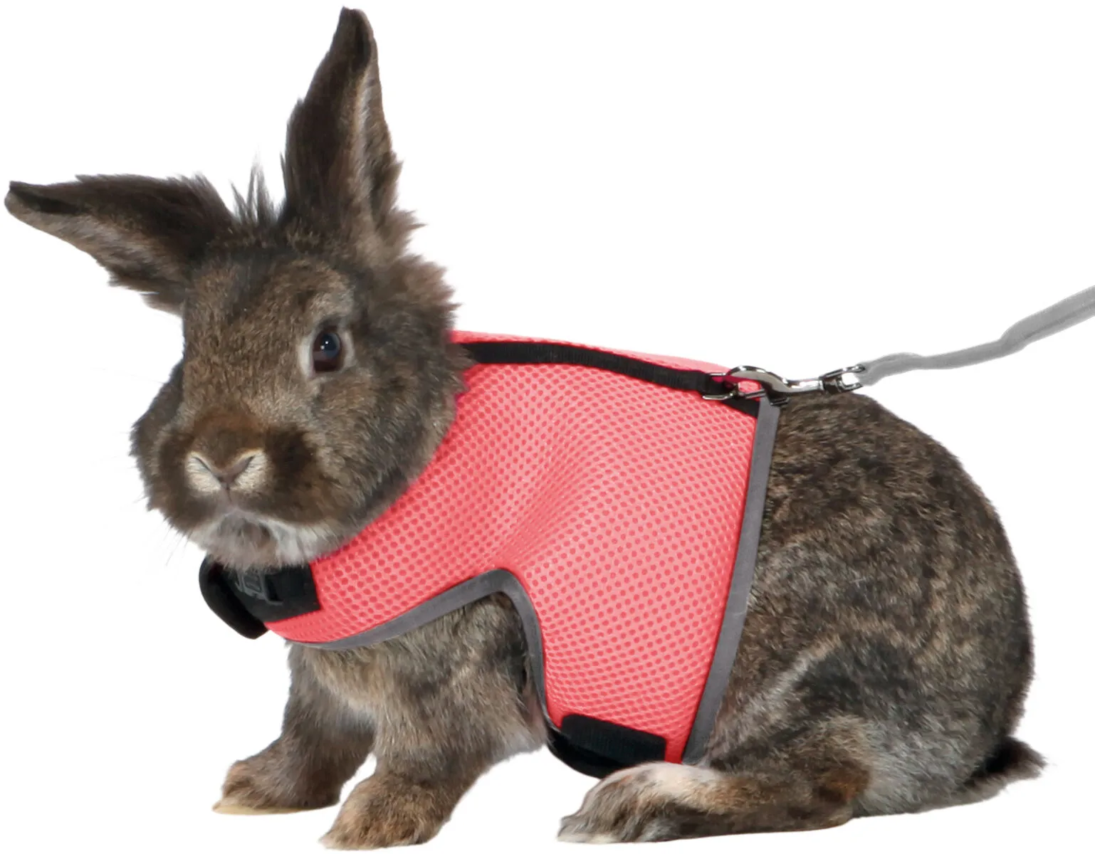 Trixie Soft sele 24-40 cm til stor Kanin med line