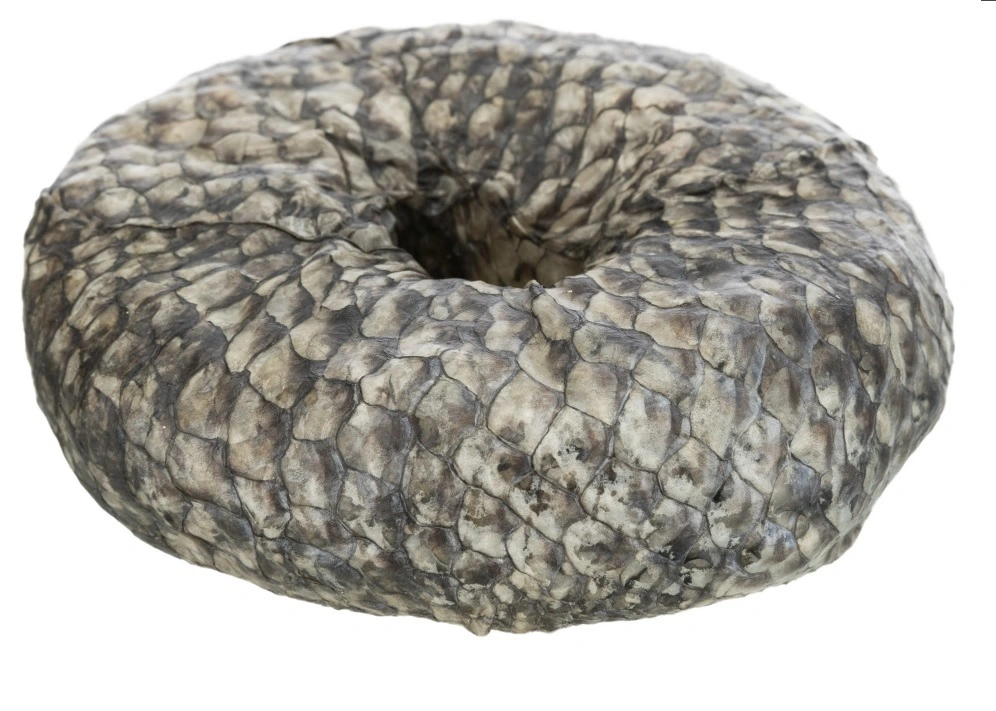 Denta Fun Tyggering med Fisk Ø 10 cm - sund hundesnack