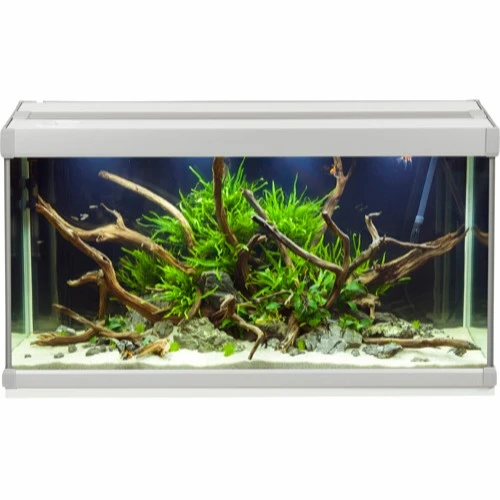 Family Akvarium 70x32x37 cm 80 Liter
