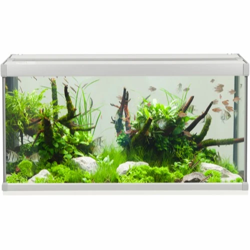 Family Akvarium 80x35x42 cm 112 Liter