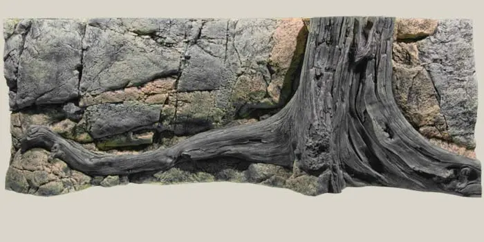Back to Nature Amazonas 160 cm