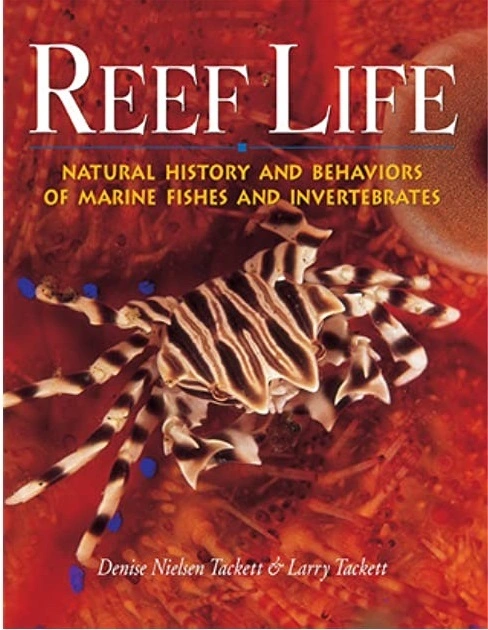 Reef life af Denise nielsen tackett og Larry tackett