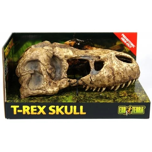 Exo Terra T-Rex kranie lille