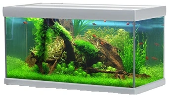 Akvastabil Fusion 576 liter akvarium