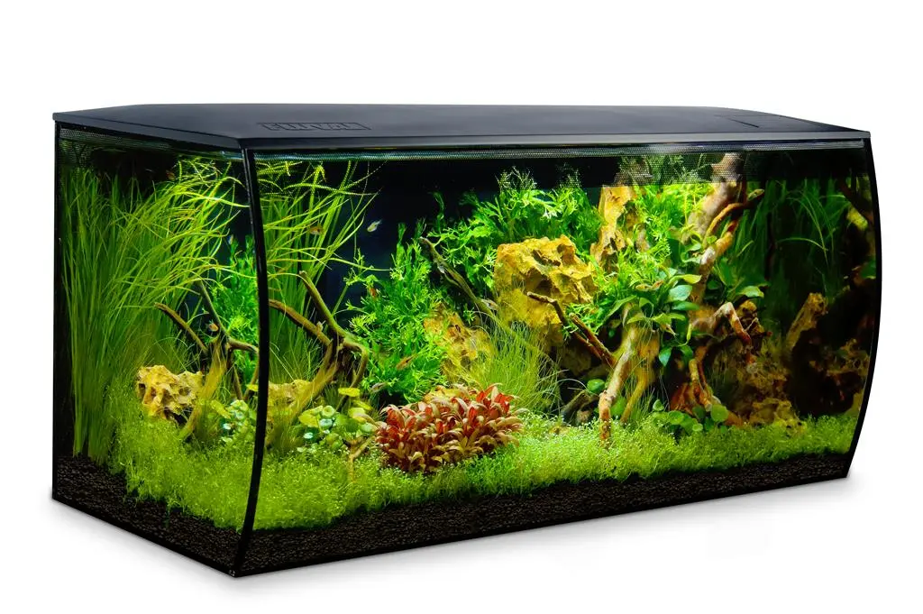Fluval Flex akvarium 123 Liter Sort