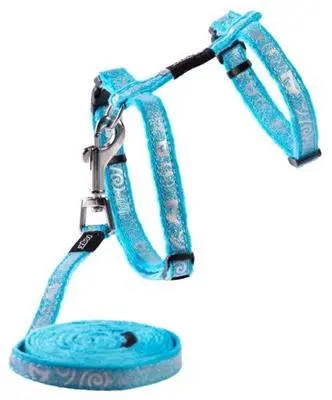 Sparkle Sele og Linesæt 1,8 m 24-40 cm Turkis