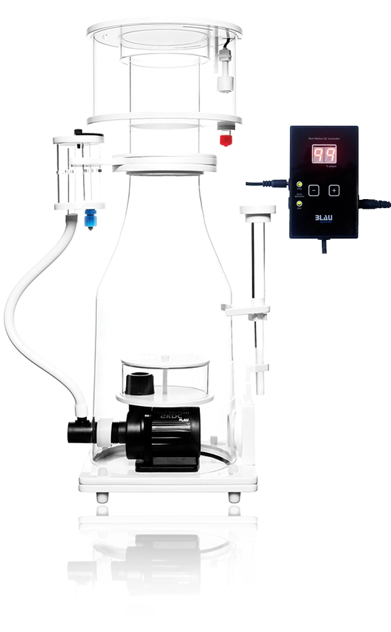 Blau Skummer MKB 160 DC