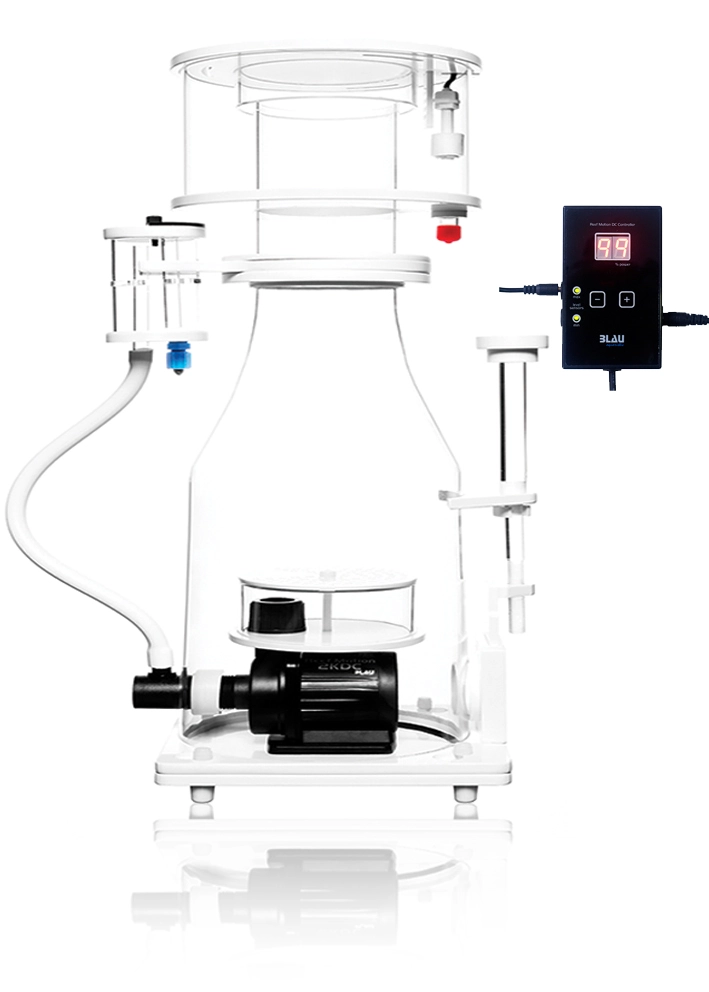 Blau Skummer MKB 250DC