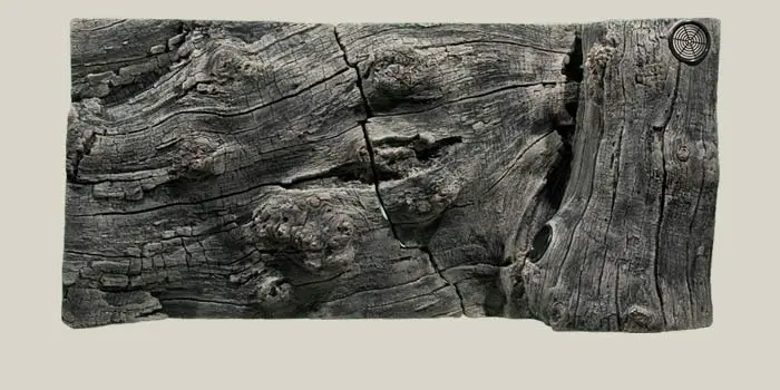 Back to Nature Orinoco Juwel 100x47 cm