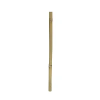 1 stk Gul bambus 100 cm Ø 2 - 3 cm.