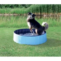 Dog Pool 80 x 20cm i lyse blå