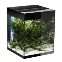 Glossy akvarie Cube 50x50x63 cm 132 L Sort