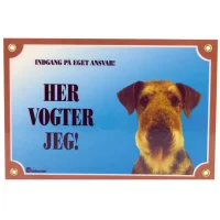 Her vogter jeg skilt med Airedale Terrier