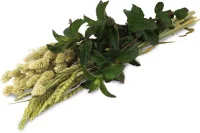 Jr Farm Urtehøst 80 g