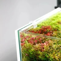 LED Lys Baggrund til akvariet 30x30x1 cm