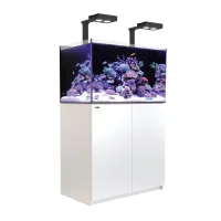 Red Sea Akvarium Reefer Deluxe Hvid 250