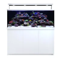 Red Sea MAX S-650 Liter Hvid G2
