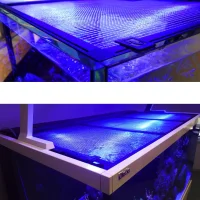 RedSea Akvarium Net som låg