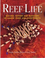 Reef life af Denise nielsen tackett og Larry tackett