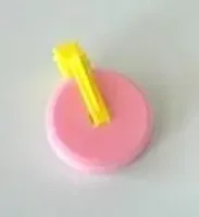 Saltsten 50 g med holder