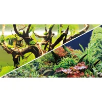 Akvariebaggrund Wood Island / Green secret (30 cm høj) 60 cm