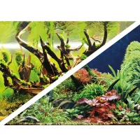Akvariebaggrund Wood Island / Green secret (60 cm høj) pr meter