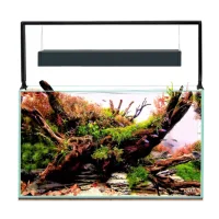AquaEl Akvarie og Lampe Ultra Scape 60 Forest