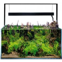 AquaEl Akvarie og Lampe Ultra Scape 90 Forest