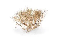 Aquascaping Root 35-45 cm