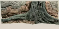 Back to Nature Amazonas 120 cm