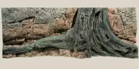 Back to Nature Amazonas 130 cm