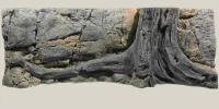 Back to Nature Amazonas 160 cm