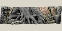 Back to Nature Amazonas 200 cm