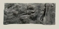 Back to Nature Orinoco Juwel 100x42 cm