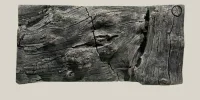 Back to Nature Orinoco Juwel 100x47 cm