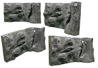 Back to Nature Orinoco Juwel 80 cm