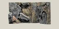 Back to Nature Rocky Juwel 80x42 cm