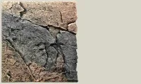 Back to Nature Slim-Line 60 A Basalt/granit (50x55 cm)