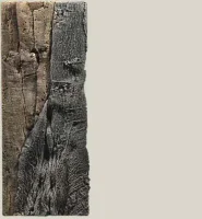 Back to Nature Slim-Line 60 C Amazone (20x55 cm)