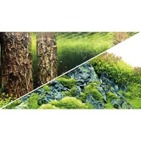 Baggrund til akvarium Scapers Hill og forest (50 cm høj) 100 cm