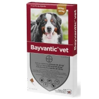 Bayvantic Vet hund 40-60 kg 4 x 6,0 ml