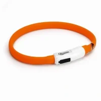 Beeztees LED Halsbånd til katte og små hunde Orange 30 cm - Opladeligt og tilpasset pasform