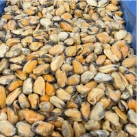 Blåmuslinger uden Skal - 1 kg (Frosne)