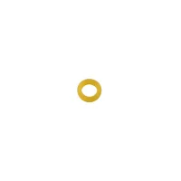 Blau CO2 Spare gasket for Regulator
