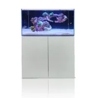 Blau Gran Cubic Super Reef 92 White 276 liters Saltvandsakvarium